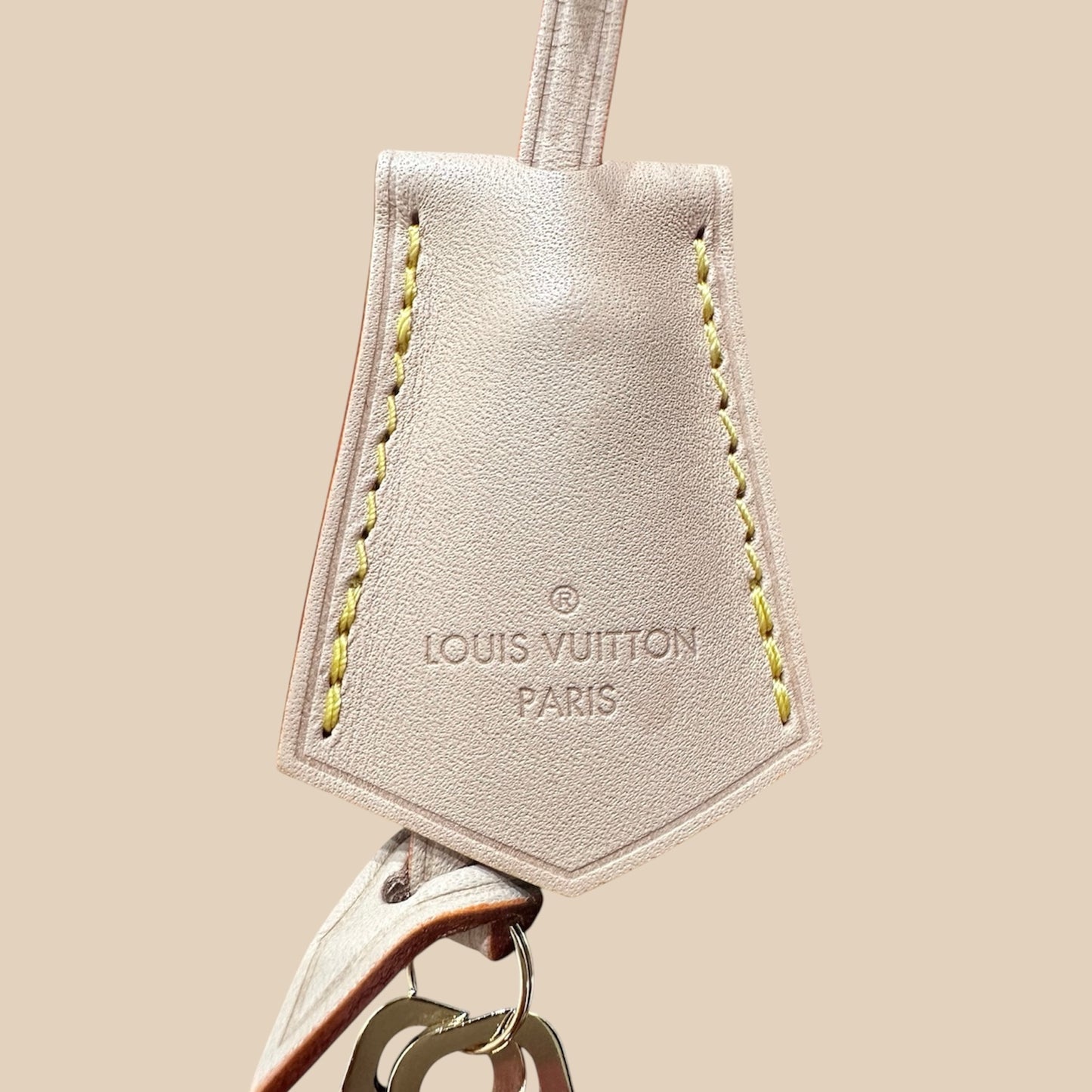 Alma PM Louis Vuitton