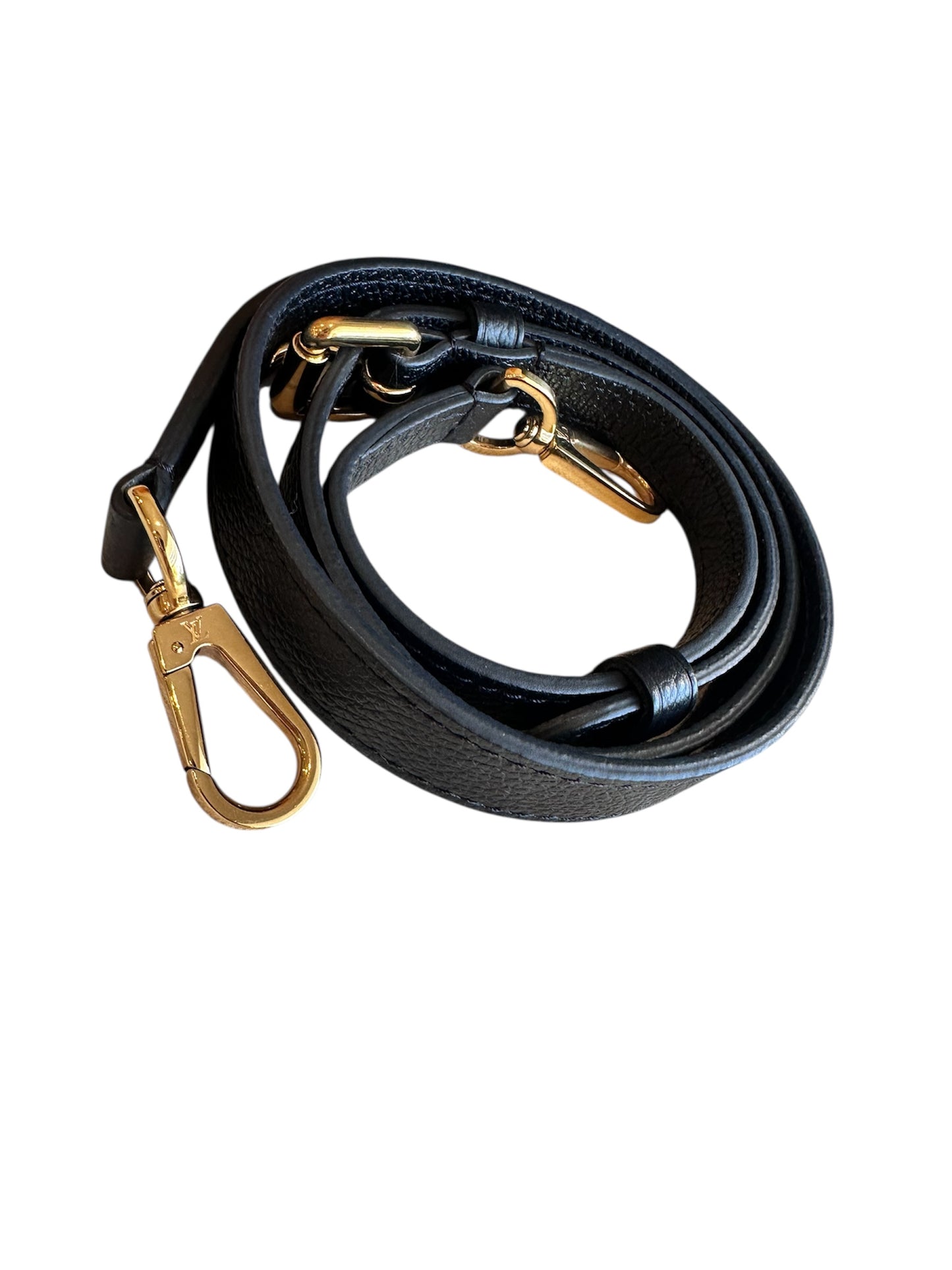 Petit Palais Louis Vuitton